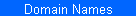 Domain Name Services